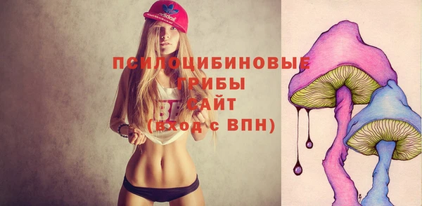 молекула духа Алзамай